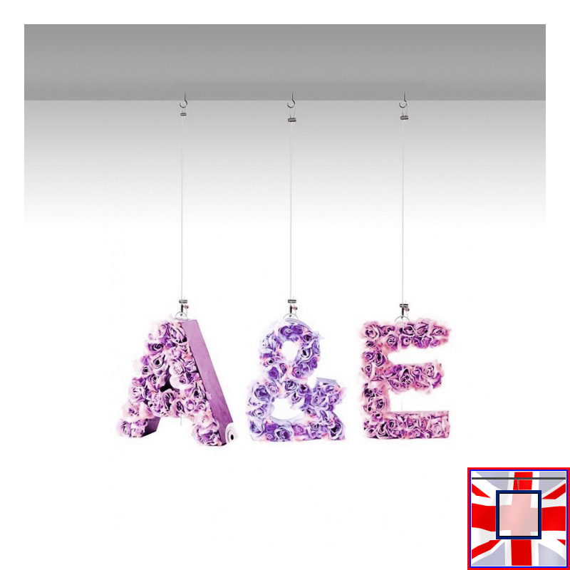 Double Loop Plant Hanging Kit with Wall Hooks, Clear Perlon Cord or Steel Cable