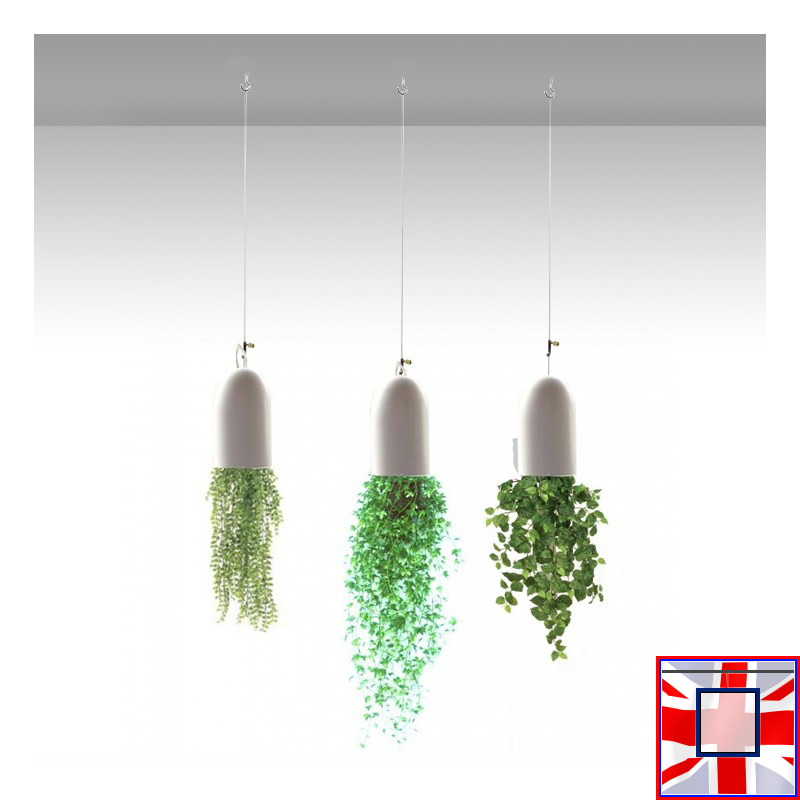 Double Loop Plant Hanging Kit with Wall Hooks, Clear Perlon Cord or Steel Cable