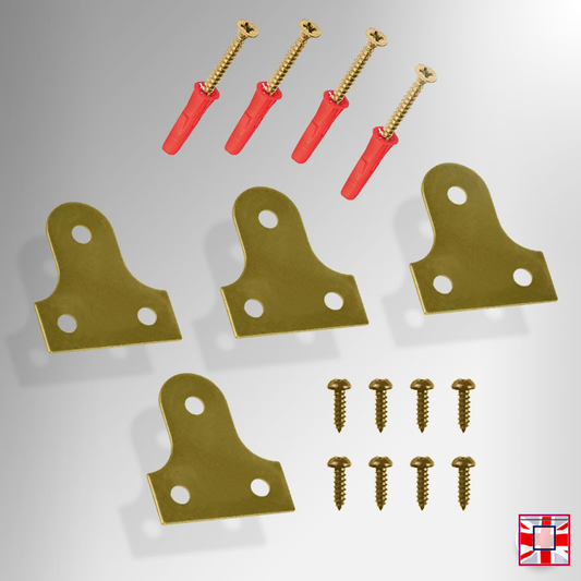 Brass Mirror Plate Mounting Kit (Includes Black Screws)